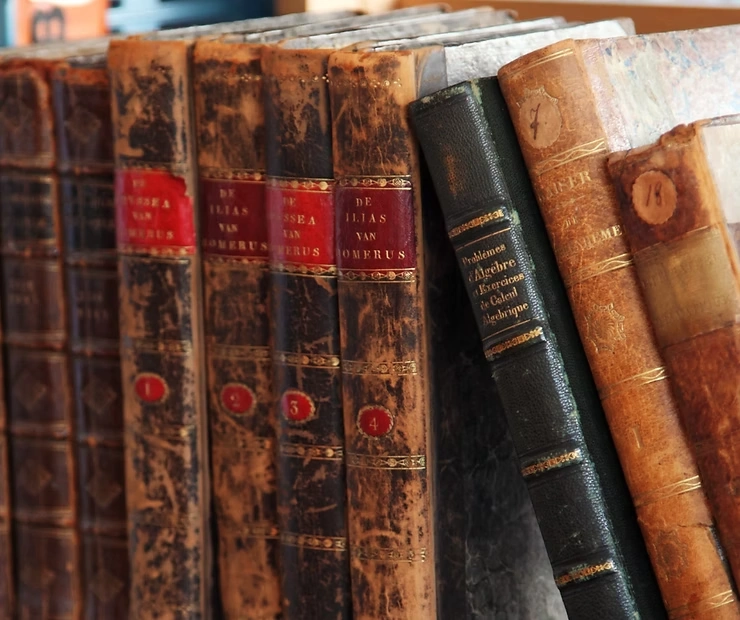 hortalizas y plantas que se pueden sembrar en noviembre en Chile para huertos domésticos